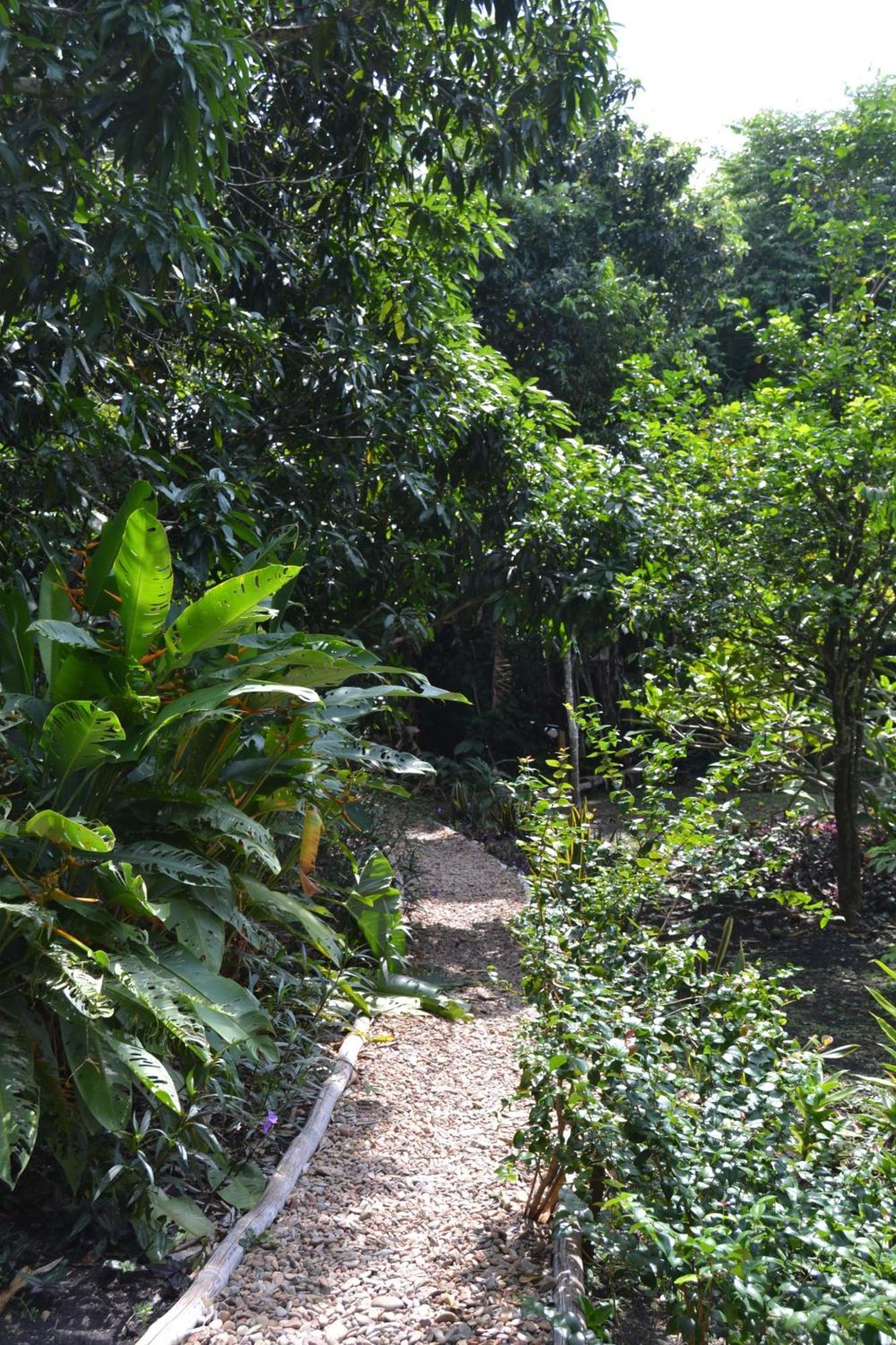 Iguana Roost Tourism Gold Standard Fully Equipped Two Bedroom Cabin San Ignacio Exterior foto
